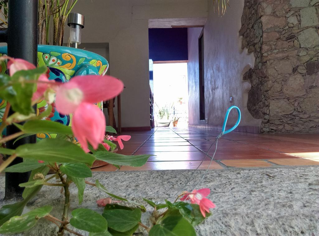 La Fuente Guanajuato Bed and Breakfast Exterior foto
